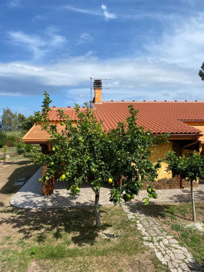 L'Uliveto Holiday House 무라베라 외부 사진