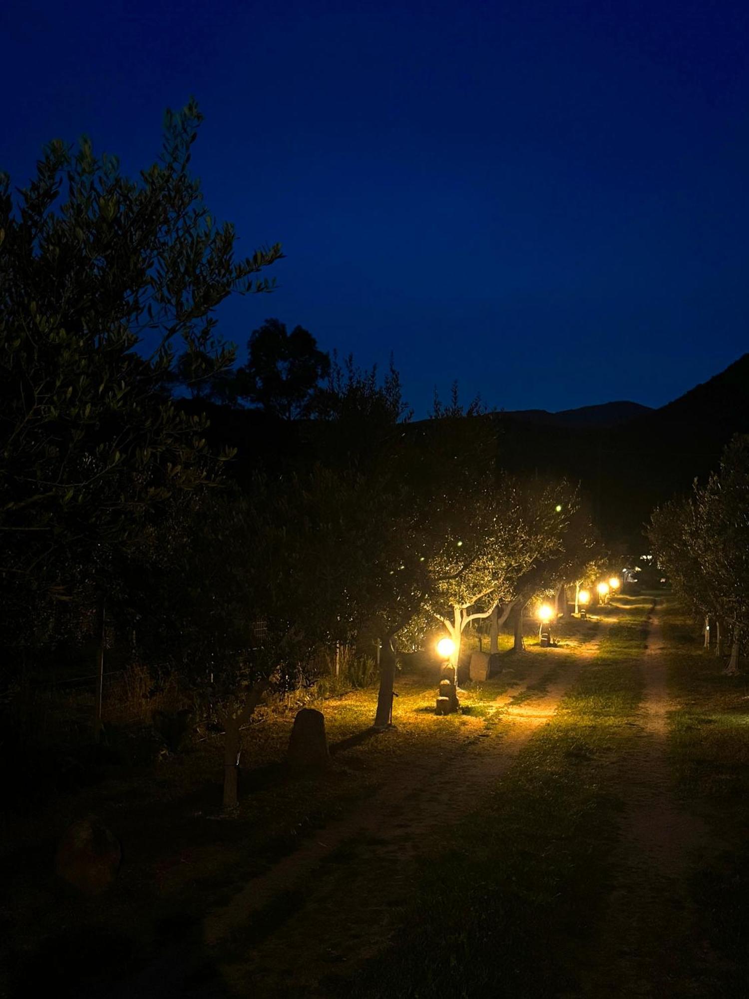 L'Uliveto Holiday House 무라베라 외부 사진
