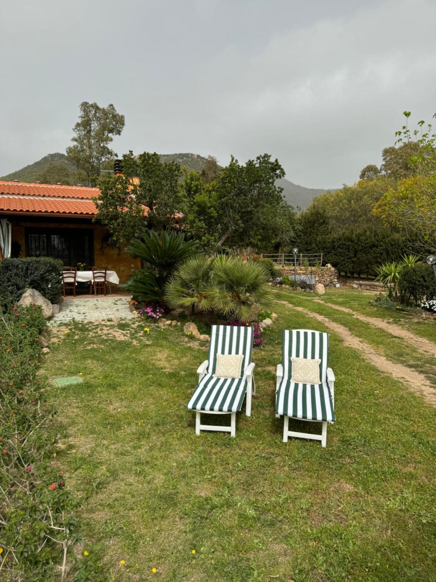 L'Uliveto Holiday House 무라베라 외부 사진